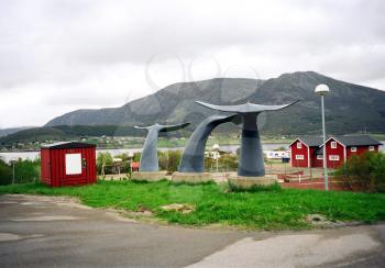 Tail of the whale Lofonten islands in Norway