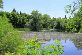 Image of summer landscape with lake and forest