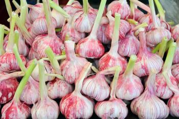 Image of background with fresh vegetables, garlic 