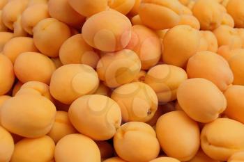 Image of background yellow ripe apricots