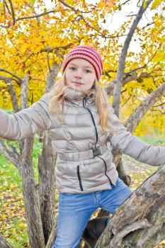 Photo of cute girl in autumn sit on tree