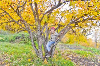 Photo of cute girl in autumn sit on tree