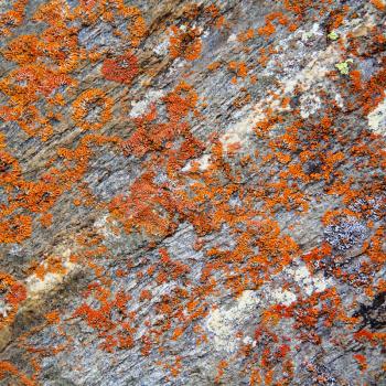 Image of colorful roughness gritty texture