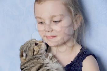 Portrait of beautiful girl with grey kitty