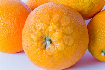 Photo of appetizing ripe oranges on white background