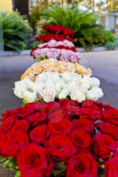 Vertical photo of white and red roses in marketplace