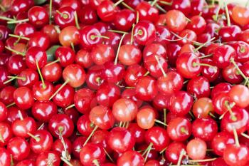 Background of red ripe cherries in sunlight