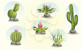 Royalty Free Clipart Image of Various Cacti
