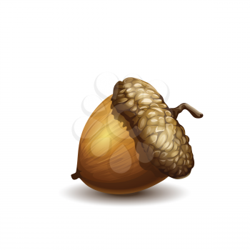 Royalty Free Clipart Image of an Acorn