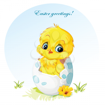 Royalty Free Clipart Image of an Easter Greeting With a Baby Chicken in an Eggshell