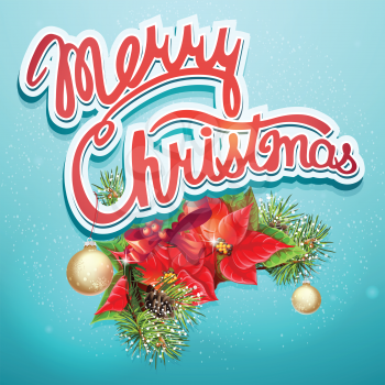 Christmas illustration with shlyumbergom, balls, branch, snow
