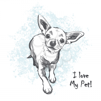 Funny puppy chihuahua. Contour cartoon vector illustration