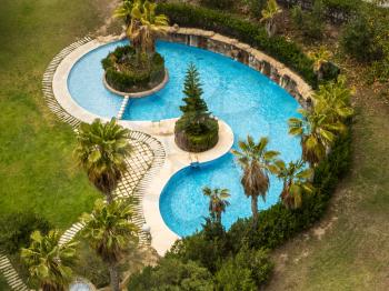 Small backyard swimming pool with palms. Photo.
