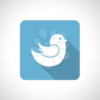 Flying bird with shadow. Square icon. Flat modern design.
