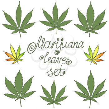 Set of natural marijuana leaves, vector illustration.