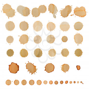 Coffee stains set isolated on white. Vector illustration.