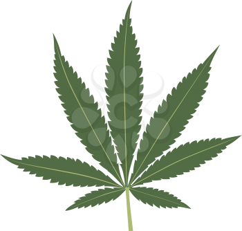 Cannabis leaf isolated on white background. Marijuana leaf silhouette. Vector illustration.