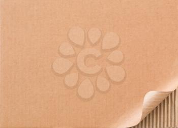 Corrugated cardboard with curled border of top layer