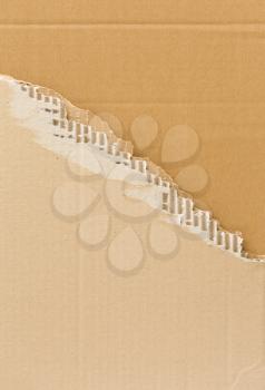 Torn corrugated cardboard background with place for text.