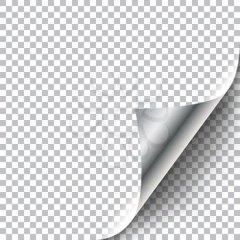 Curly Page Corner. Realistic illustration with transparent shadow. Ready to apply to your design. Graphic element for documents, templates, posters, flyers.