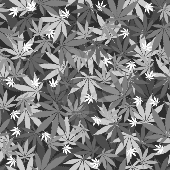 Seamless cannabis leaves pattern. Medical marijuana, legalize culture concept.