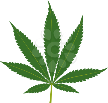 Cannabis leaf isolated on white background. Marijuana silhouette. Vector illustration.