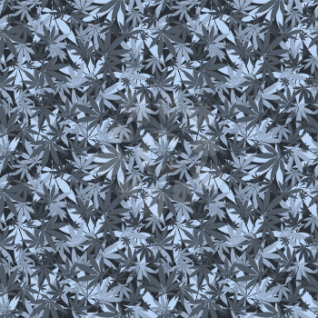 Seamless cannabis leaves pattern. Medical marijuana vector illustration