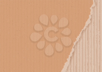Corrugated cardboard background with torn peace, realistic vector illustration