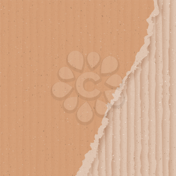 Corrugated cardboard background with torn peace, realistic vector illustration