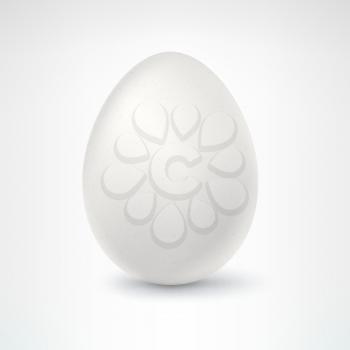 Egg closeup, isolated on white background, vector.