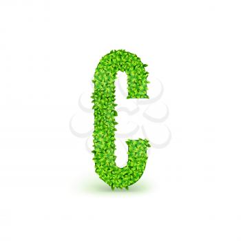 Green Leaves font. Capital letter C consisting of green leaves, vector illustration.