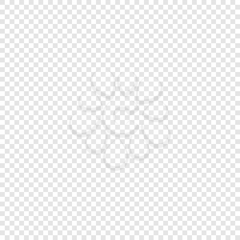 White and gray checker background symbol of transparency vector illustration eps10