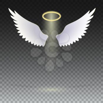 Angel wings with golden halo hovering on the transparent background. The symbol of faith, religion, mysticism, magic, magic and miracles. Wings and golden halo.