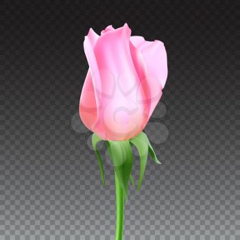 Realistic rose Bud with stem and leaves. Closeup, isolated on transparent background the flower Bud of the rose. The symbol of romance and love, a template for a greeting card, 3D illustration.
