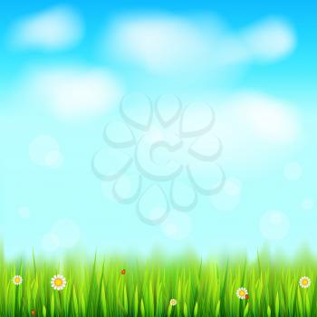 Summer landscape background, green, natural grass border with white daisies, camomile flower and small red ladybug. Blue sky, white clouds in the summer sky. Template for your design or creativity.