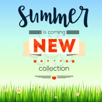 Summer new collection banner. Vintage style text poster with graphic elements, blue summer sky, green, lush grass, daisies and ladybugs. Template, mock-up online shopping, advertising, magazines.