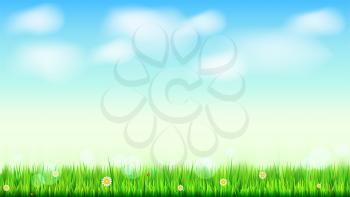Summer landscape background, green, natural grass border with white daisies, camomile flower and small red ladybug. Blue sky, white clouds in the summer sky. Template for your design or creativity.