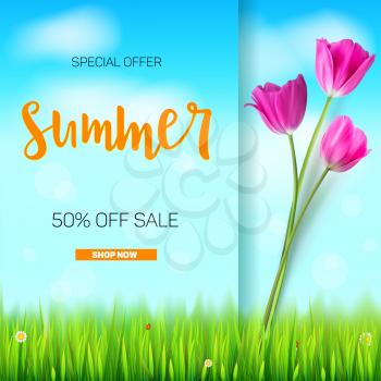Summer sale banner. Stylish advertisement text poster on blue summer sky backdrop with white clouds, green, lush grass, daisies and ladybugs. Template mock-up for online shopping, advertising actions.