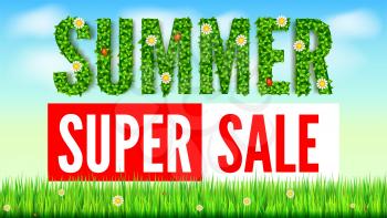 The inscription of summer green leaves of spring and summer flowers, ladybugs. Summer hot discounts. Selling ad banner. Text on green background of lawn, grass and sky with clouds. Eco-card.