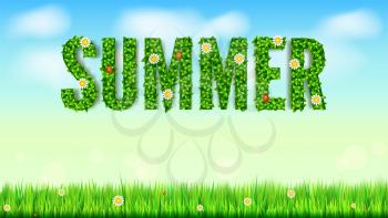 The inscription of summer green leaves of spring and summer flowers, ladybugs. Blooming summer text on green background of lawn, grass and blue sky with clouds. Ready template for your ad, Eco-card.