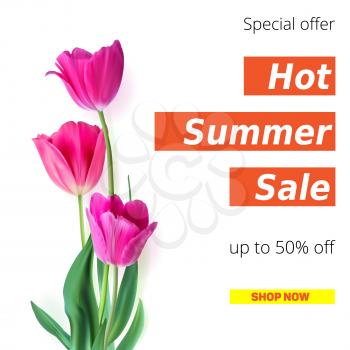 Hot summer sale banner with fifty percent discount. Stylish advertisement text poster on white backdrop with three fresh, the opened flower of a Tulip. Template for online shopping, poster or cover.