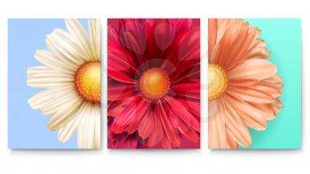 Set of spring covers with bud of flowers close-up. Fashioned background with patterns of daisies for banners brochure, layout, 3D illustration. Vector template of poster.