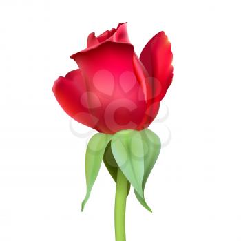 Realistic rose Bud with stem and leaves. Closeup, isolated on a white background the flower Bud of the rose. The symbol of romance and love, a template for a greeting card, 3D illustration.