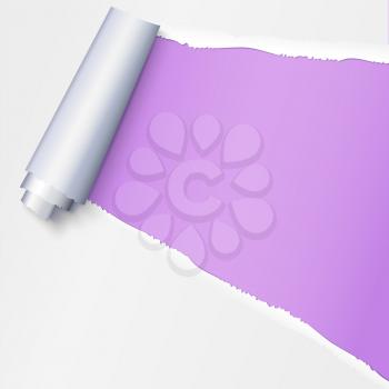 Realistic torn open paper with space for text on purple background, holes in paper. Torn strip of paper with uneven, torn edges. Coiling torn strip of paper