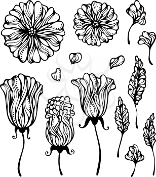Various flowers and leaves for your design. EPS 8.