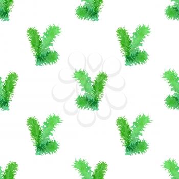 Watercolor branches of evergreen tree on white background. Vector illustration.