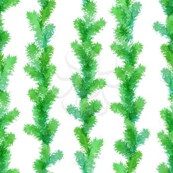 Watercolor branches of Christmas tree on white background. Vector illustration.