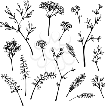 Various hand-drawn grass and floral elements for your design.
