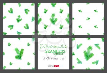 Watercolour branches of evergreen tree on white background. Vector illustration.