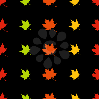 Maple leaves on black background.